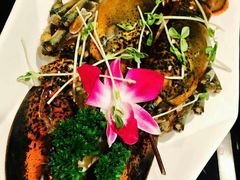 -大红袍火锅料理(尖沙咀店)