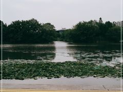 -新江湾城公园