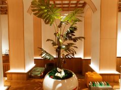 -森Some Fusion(荔湾店)