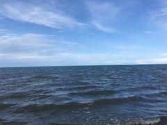 -德禄酸奶(莫家街店)