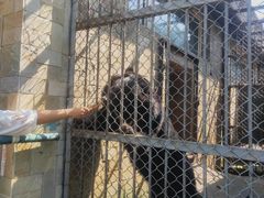 -哈尔滨北方森林动物园