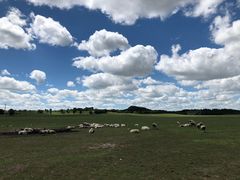 -塞罕坝国家级自然保护区