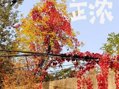 -中山路(地铁站)