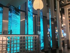 -桂满陇·海市蜃楼·黑金(国金店)