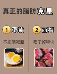 -Fundi张玉珊修身堂·indiba·BTL科技瘦身