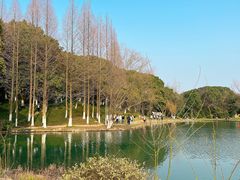 -新洲生态园