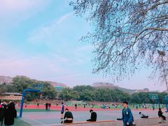 -武汉大学-樱园