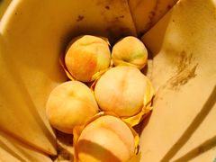 -老袁家蜜桃农场·阳山水蜜桃