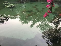 -汕尾莲花山温泉度假村