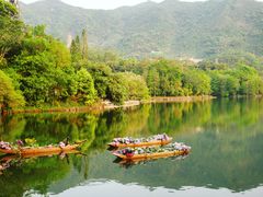 -深圳仙湖植物园