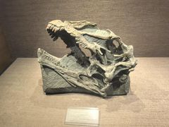 -自贡恐龙博物馆