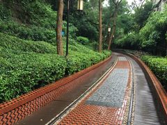 -铁路文化公园