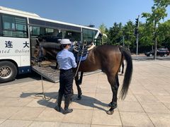 -大连人民广场