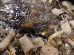 -七采菌园·石锅鱼野生菌火锅(环城北路店)