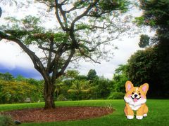 -中国科学院西双版纳热带植物园