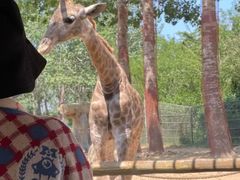 -大连森林动物园