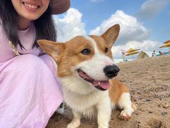 -那香海钻石沙滩浴场