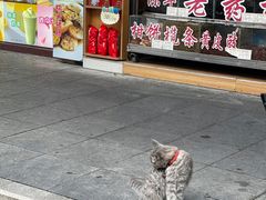 -权记饼食(开元店)