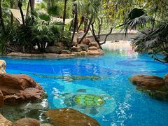-Waterfall瀑布湾优健源(华侨城店)