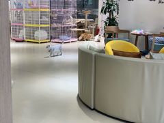 -藏猫猫咖啡主题馆(中央大道店)