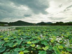 -顺峰山公园