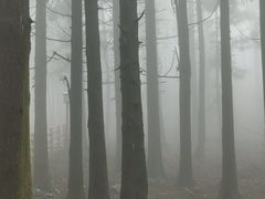 -天姥山