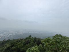 -紫金山山顶公园