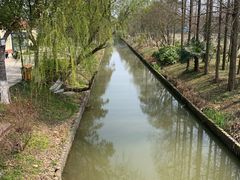 -上海长兴岛郊野公园