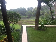 -四季酒店下午茶