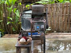 -大象粑粑造纸公园