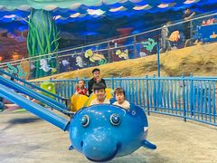 -青岛嘉年华主题乐园