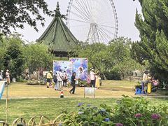 -无锡蠡湖国家湿地公园-蠡园