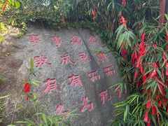-烟台山景区