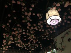 -韵秋荷(宝山龙湖天街店)