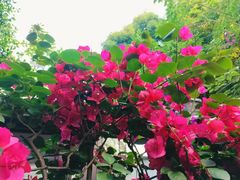 -大妙火锅·非物质文化遗产(东湖公园店)