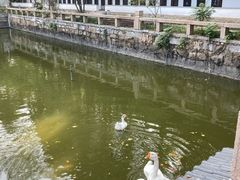 -苏州碑刻博物馆