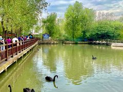 -溱湖国家湿地公园