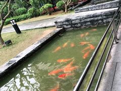 -南宁荔园维景国际酒店·荔园中餐厅