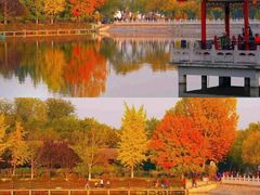 -北宫国家森林公园