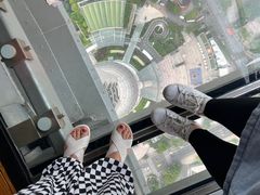 -东方明珠广播电视塔