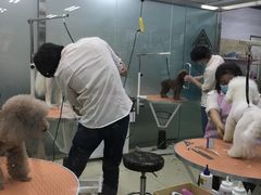 -乐宠宠物店(世纪金源店)