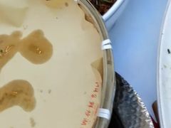 -烹湘·鲜炒湖南土菜(海珠店)