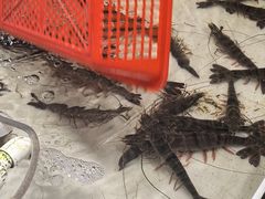-铜陵人民市场