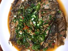 -全乐鱼馆·淳牌有机鱼直营店