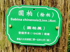 iphone_upload_pic-八大关景区