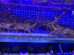 -青蓬蒸汽海鲜·深圳老字号·团建聚会(壹方城店)
