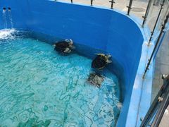 -石家庄市动物园