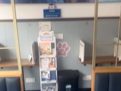 -伟伟宠物医院·瑞派猫友好医院·猫科(光谷店)