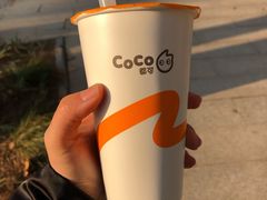 鲜芋青稞醇牛奶-CoCo都可(湖滨银泰店B区店)