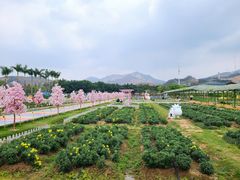 -盈香心动乐园